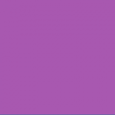 flo violet.PNG